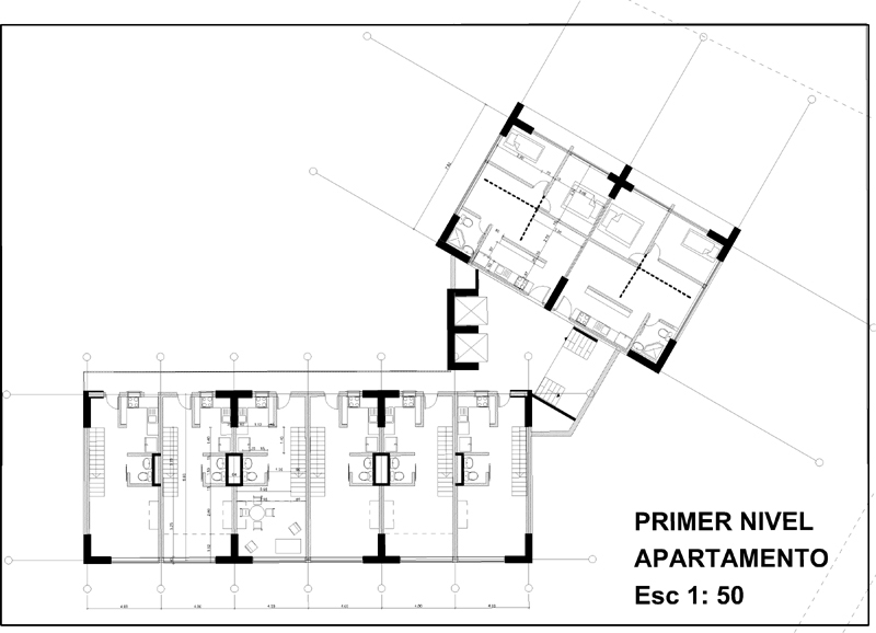 1planta50-copy